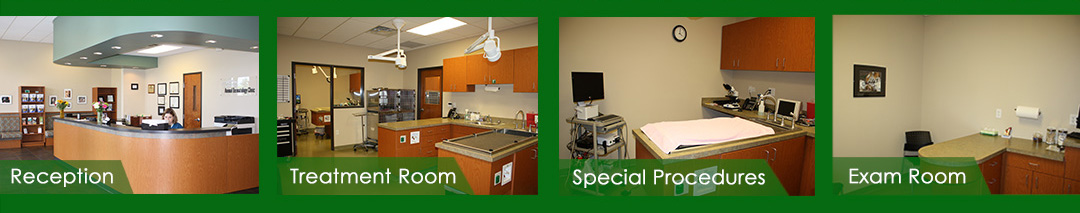 Animal Dermatology Clinics - Location